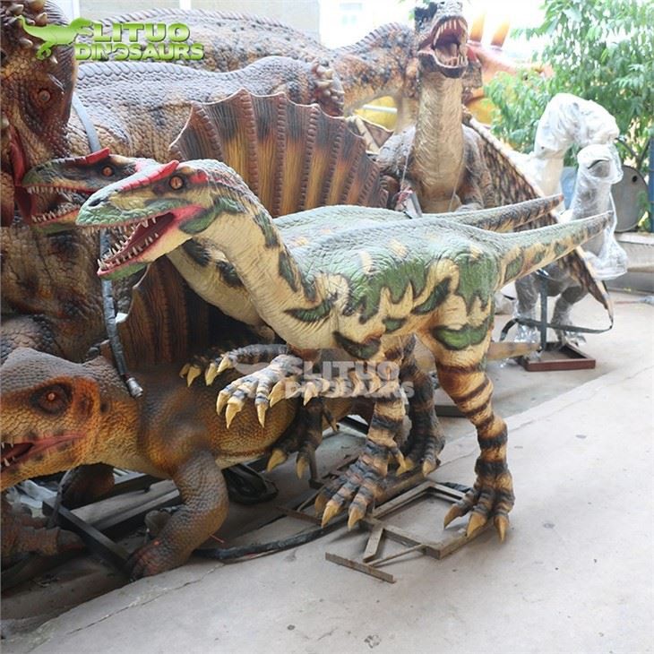 4Coelophysis