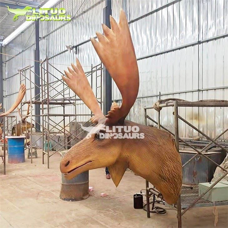 4MOOSE