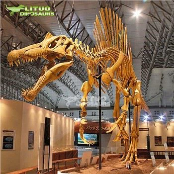 Spinosaurus Skeleton