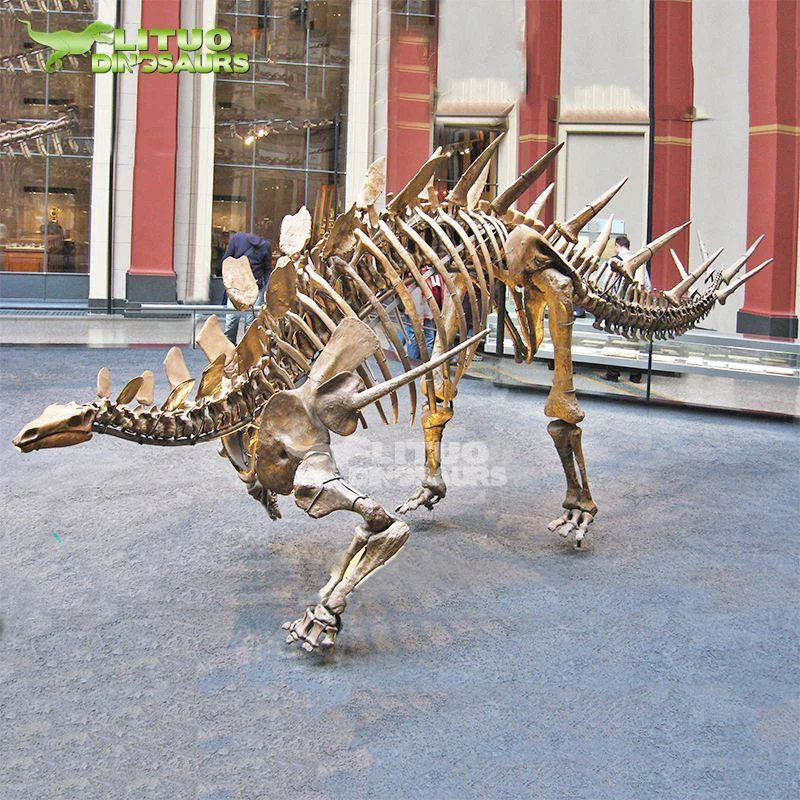 Kerangka Stegosaurus