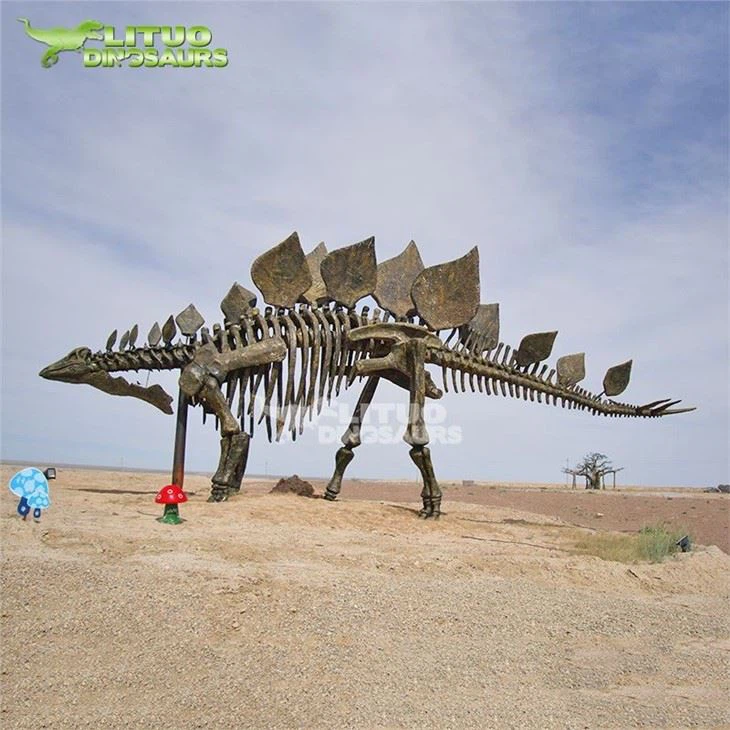 2Fossil Dinosaur Stegosaurus Skeleton(001)